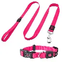 DOCO_Signature_Nylon_collar_and_leashpink.webp