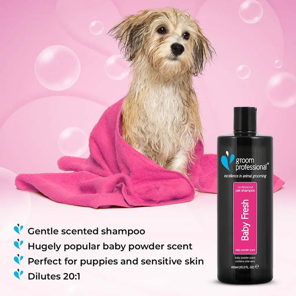 Groom Professional Baby Fresh Shampoo[Volume - 4 litre] (1).webp