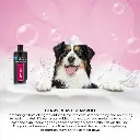 Groom Professional Berry Blast Shampoo[Volume - 4 litre] (2).webp