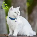 81FA6+7MCrL._AC_SX679_[1].webp