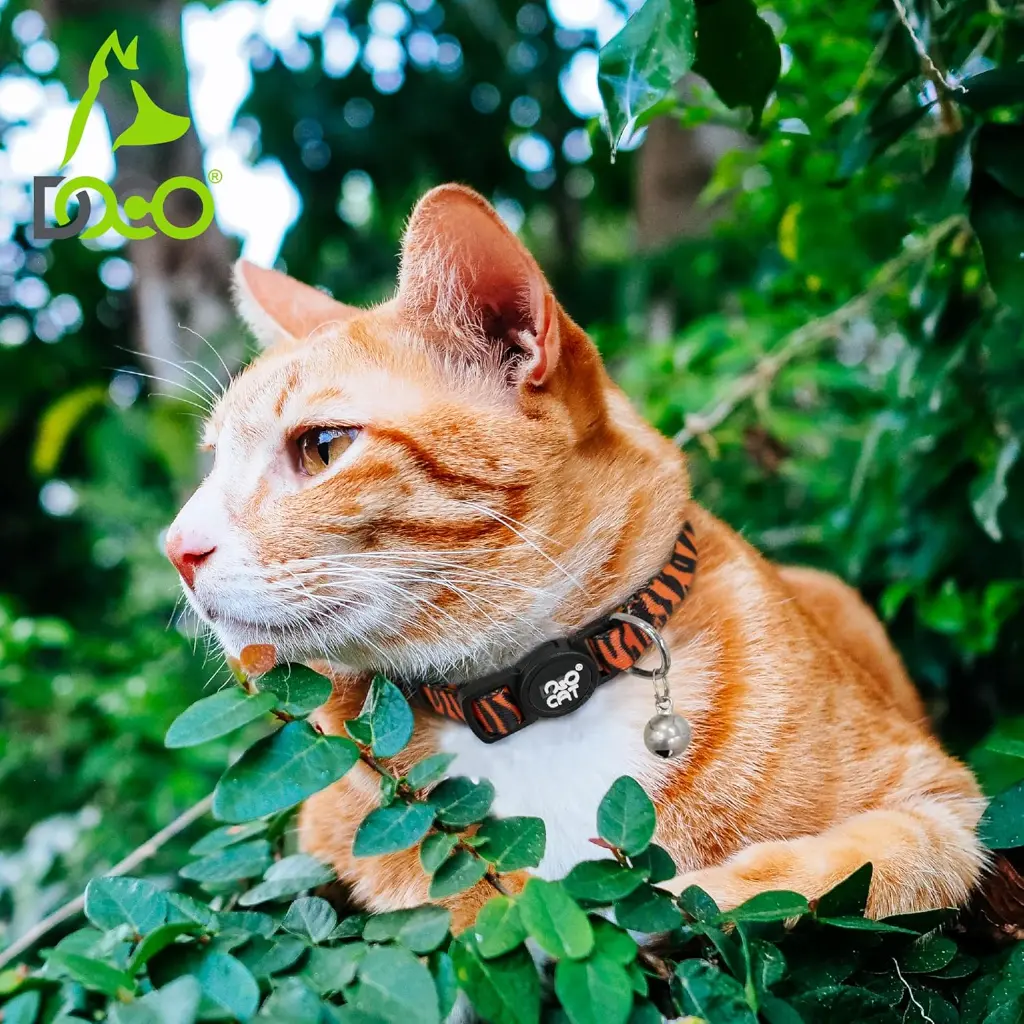 91vGfQoprkL._AC_SL1500_[1].webp