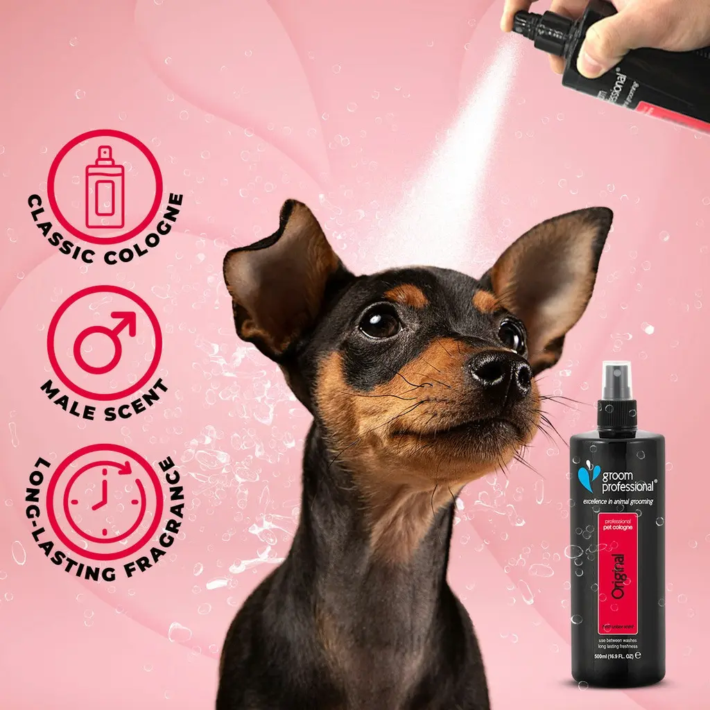 Groom Professional Original Cologne [Perfume][Volume - 500 ml] (1).webp