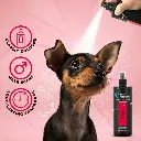 Groom Professional Original Cologne [Perfume][Volume - 500 ml] (1).webp