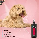 Groom Professional Original Cologne [Perfume][Volume - 500 ml] (2).webp