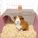 IMAC Ronny 60- 2nd Life - Cage for small pets 60.5x40.5x36cm.webp