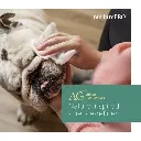 NurturePro AG+ Silver Pet Wet Wipes -Aloe Vera (100 Sheets- Pack) (1).webp