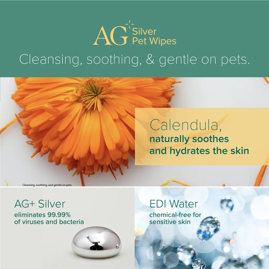 NurturePro AG+ Silver Pet Wet Wipes -Aloe Vera (100 Sheets- Pack) (2).webp