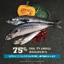 8-NS_20ACA_20Pacifica_20PDP_201000x1000_bowl_20image.webp