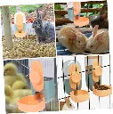 Pado Pastel Food Dispenser S 500ml- Orange.webp