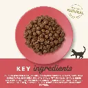 413496_3__ingredients_dry_en_2400px_1 (1).webp
