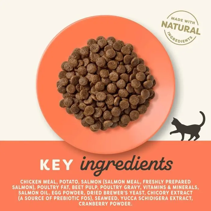 cat-feed-salmon-chicken-dry-food-packets-h8ro.webp