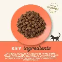 cat-feed-salmon-chicken-dry-food-packets-h8ro.webp