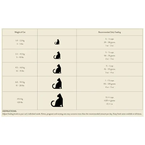 105158-1-SC.webp