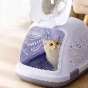 Pado Petpod Pet Carrier 52x35x33cm-Purple (1).webp