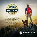 105152.AddictionLeLambDryDogFood6.webp