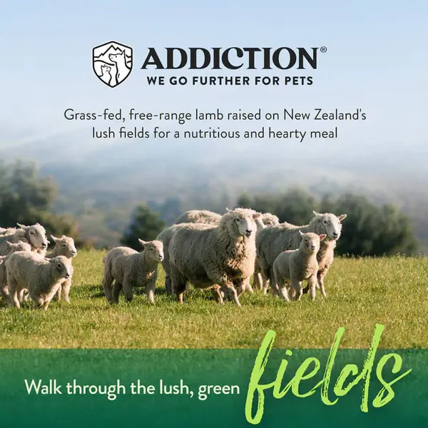 105152.AddictionLeLambDryDogFood3.webp
