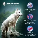 105152.AddictionLeLambDryDogFood4.webp