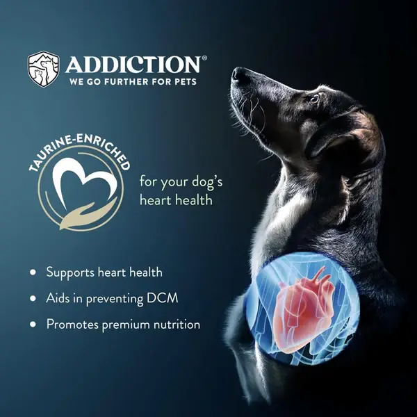 105152.AddictionLeLambDryDogFood5.webp