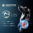 105152.AddictionLeLambDryDogFood5.webp