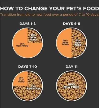 unnamed_a335af47-9af0-4220-85e7-4f11952bb34a (1).webp