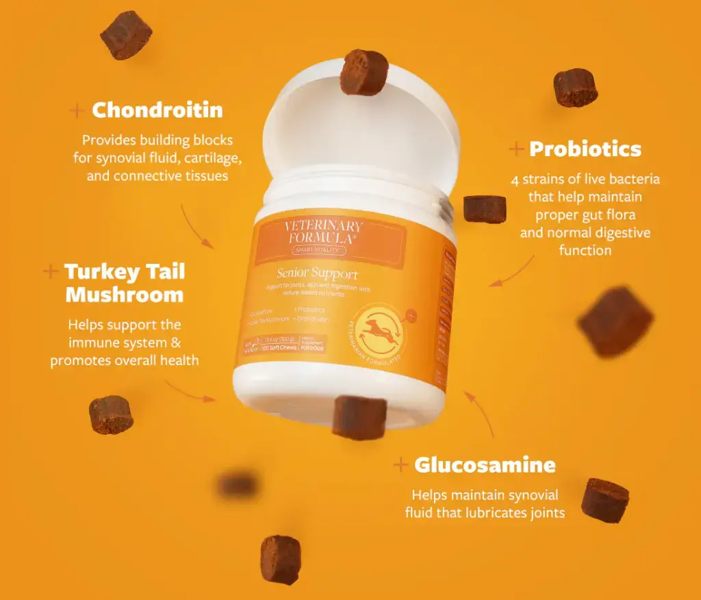 Synergy Labs Veterinary Formula Clinical Care Senior Support Supplement 30 Count(90g) (2).webp