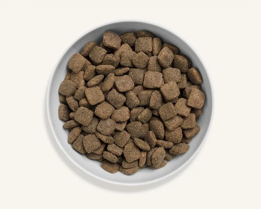 grass-fed-lamb-for-dogs-all-life-stages-1-min.webp