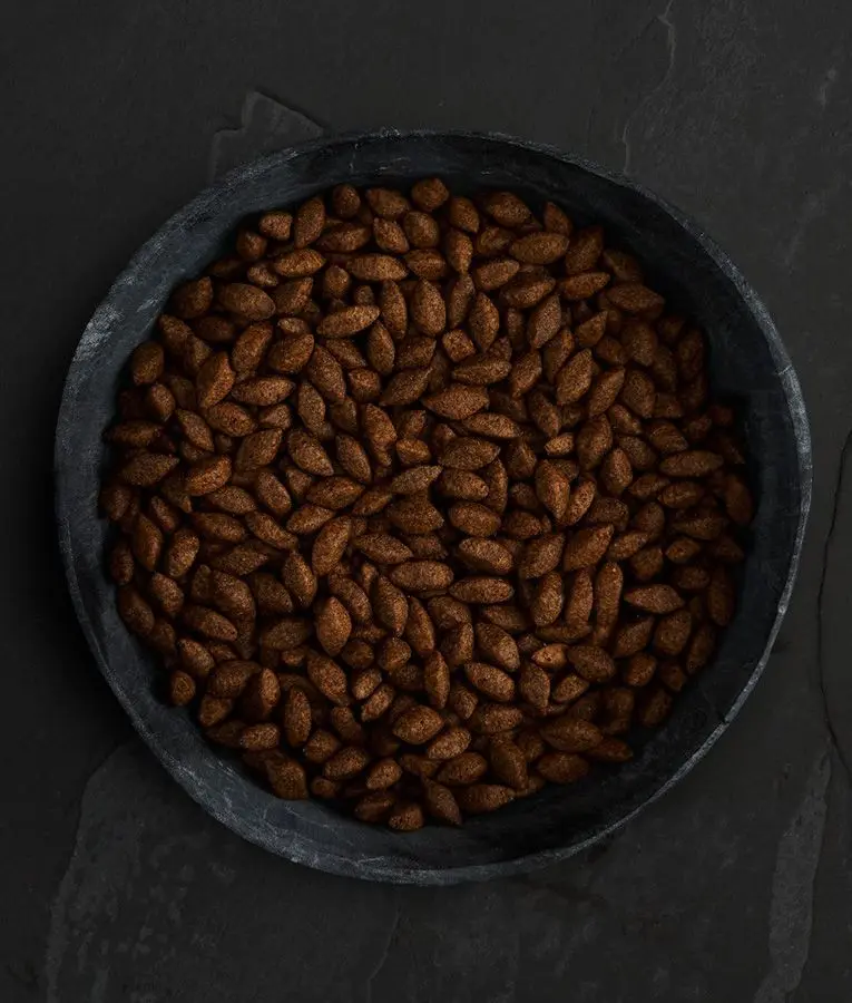 canagan-insect-bowl.webp
