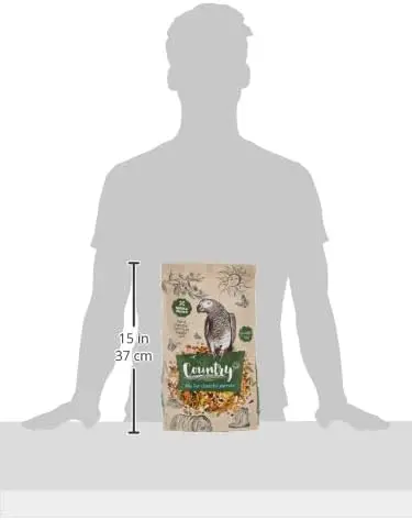 31sOfn+VmoL._AC_ (1).webp