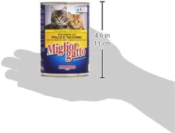 31jlkg8YH+L._AC_.webp