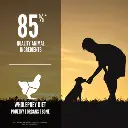 SMALL_BREED_PUPPY_EN_2_2023_09_27.webp