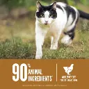 ORI_20Original_20Cat_20PDP-6_8e2613fa-2ad2-42fd-b9fa-83f2945ddaf3 (1).webp