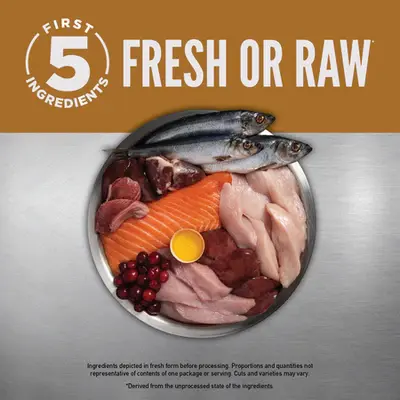 ORI_20Original_20Cat_20PDP-7_fd0476f0-e7ed-4f77-852d-60f744d8a59b (1).webp