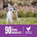 ORI_20Kitten_20PDP-6.webp