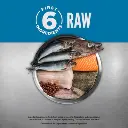 ORI_20Cat_20Six_20Fish_20PDP-7.webp