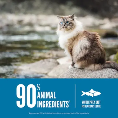 ORI_20Cat_20Six_20Fish_20PDP-6.webp