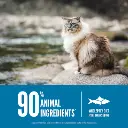 ORI_20Cat_20Six_20Fish_20PDP-6.webp
