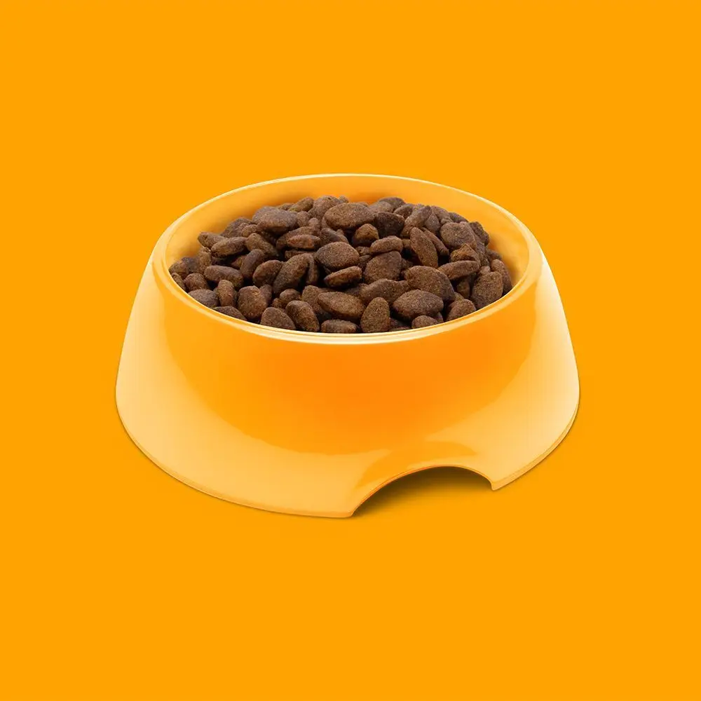 300884.webp