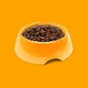 300884.webp