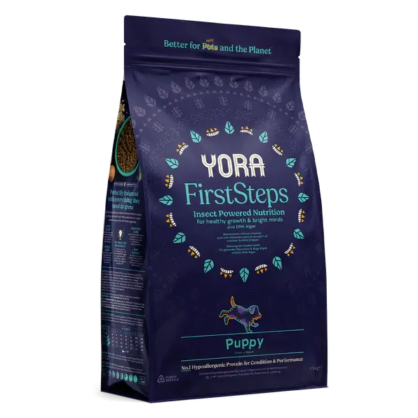 yora-puppy-insect-dog-food.webp