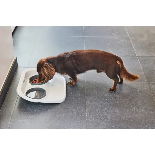 Moderna Tidy Diner Mess-proof double diner feeder 2x 300 ml.webp