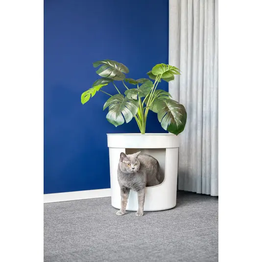 Moderna Hidden Planter Litter Box-WithPlant L 49.5 x W 49.5 x H 48.5 cm (1).webp