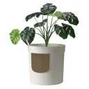 [MOD-BU70-0354-0041] Moderna Hidden Planter Litter Box-WithPlant L 49.5 x W 49.5 x H 48.5 cm.webp