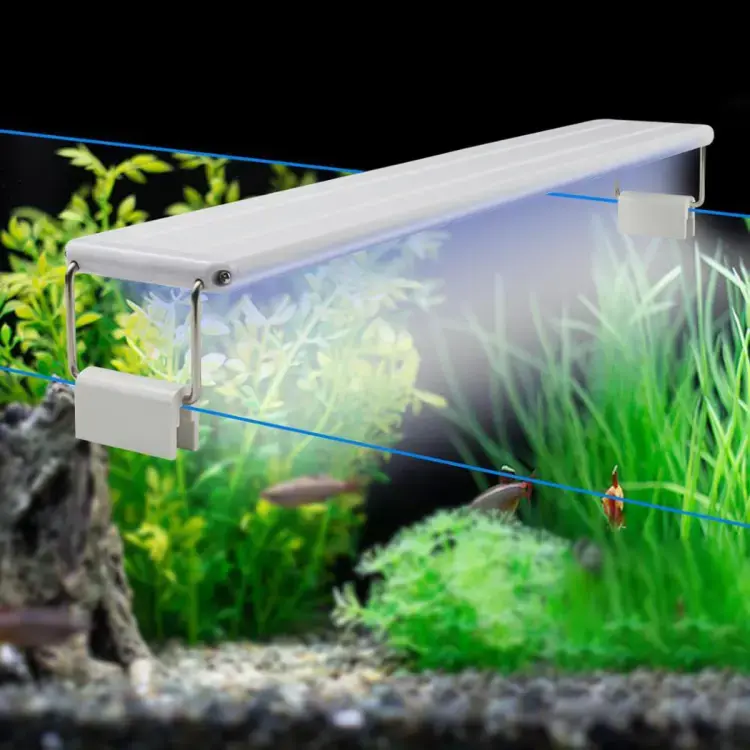 Roxin Led Top Light Colorfull[Power - 10W, Length - 40-50cm].webp