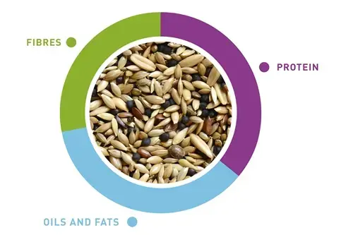 Padovan Naturalmix Canarini 1kg - Canary Bird Food.webp