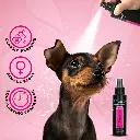 Groom Professional Princess Cologne[Volume - 100 ml] (1).webp