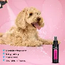 Groom Professional Princess Cologne[Volume - 100 ml] (2).webp