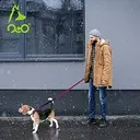 DOCO 4ft Shock Absorbing BUNGEE Leash - Large (DCB1148)Color_ Black, Sizes_ L.webp