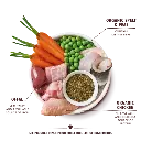 DP-2.webp