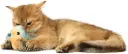 51zILxdAZAL._AC_SL1000_.webp