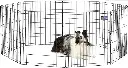 71a-ThxPNVL._AC_SX679_.webp
